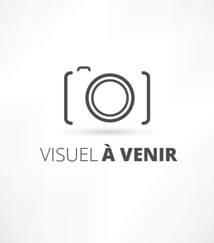 Thibault LIOT